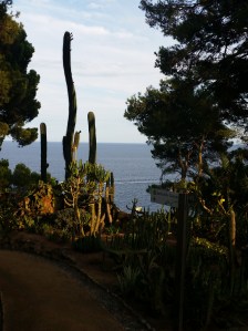 Cap Roig cacti