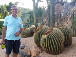 View from our pitch!