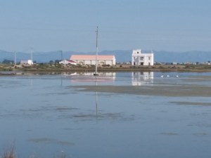 Ebro Delta